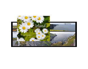 Irland - Panoramen und Blumen