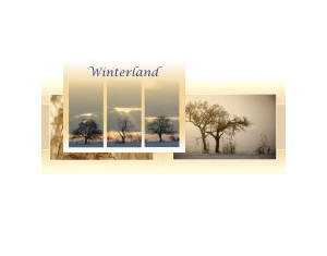 Winterland