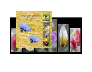 Farben und Formen