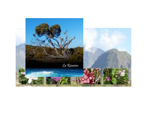 La Réunion