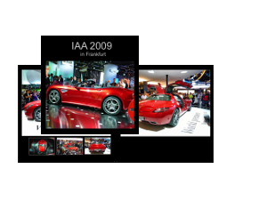 IAA 2009