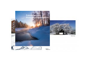 Wettbewerb: Winterfoto 2010